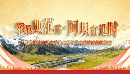 擎旗典范路·关键支撑⑩ | 阿坝州党的基层组织建设成效凸显
