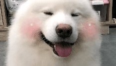 跌至7℃!深圳或迎3次冷空气,伴有降水+大风!时间就在……