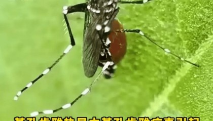 最新警报!此地确诊3195例!发现这种情况立即就医