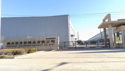 河北冀州区:“衡水怡青舒袜业”有限公司未签劳动合同且未缴纳社保,引发员工权益关注