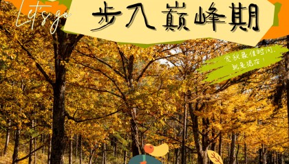 天花板发力了！快看巅峰的洛阳白云山秋景！