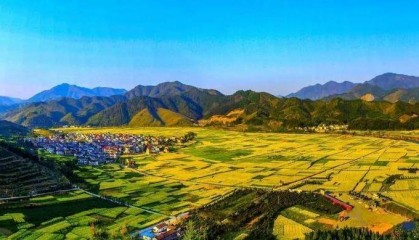数字乡村平台的作用有哪些?