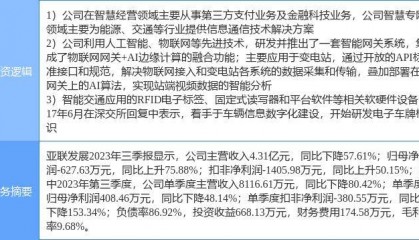 2月20日亚联发展涨停分析:电子车牌,数字经济,物联网概念热股