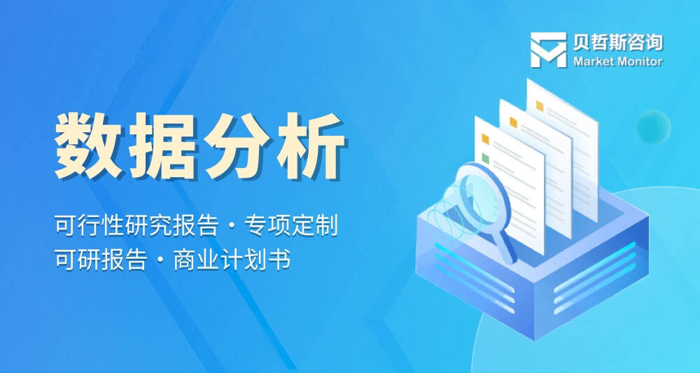 2023年中国物联网货币化市场规模分析与前景预测报告