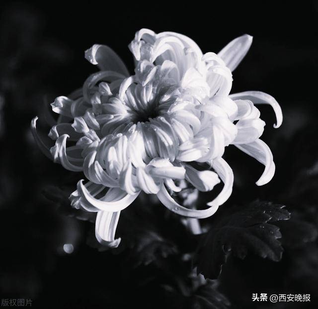 关呈远(副部长级)逝世