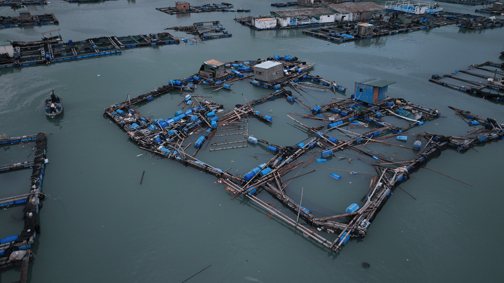 村镇导演追三个超强台风 拍下被遗忘的农民