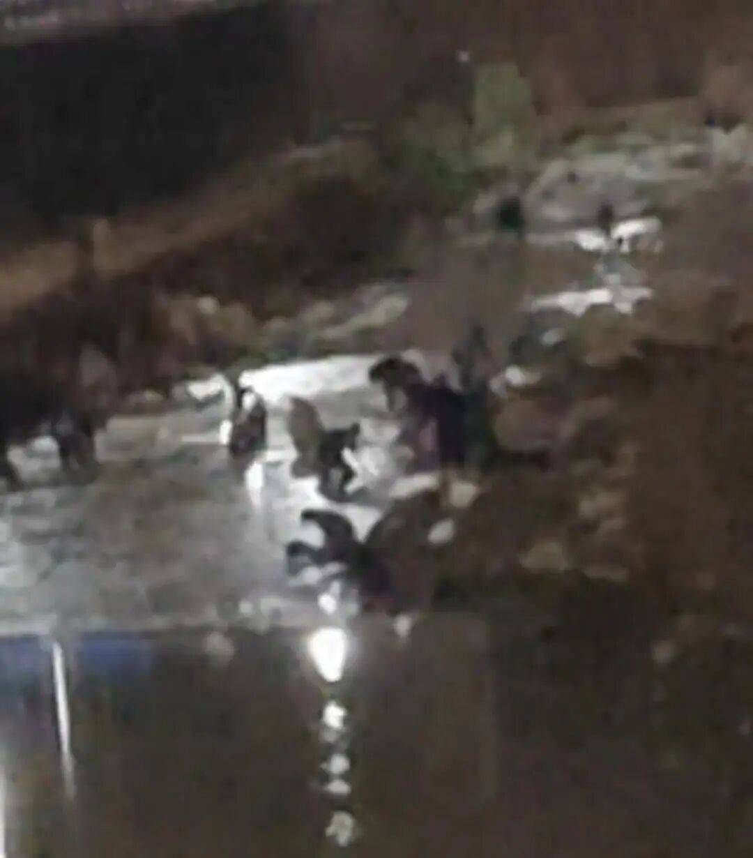 “一盆就出了5克多”！河道内挤满人，半夜冒严寒淘金！当地政府曾多次明令禁止