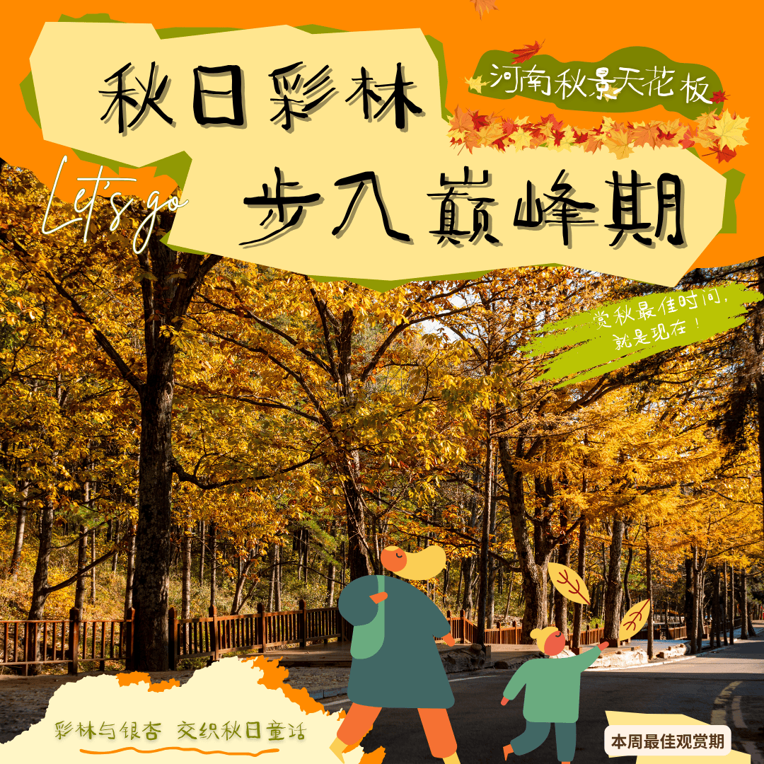 天花板发力了!快看巅峰的洛阳白云山秋景!