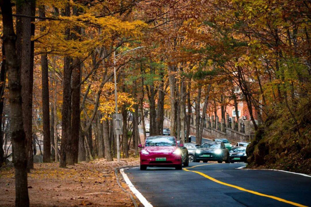 天花板发力了!快看巅峰的洛阳白云山秋景!