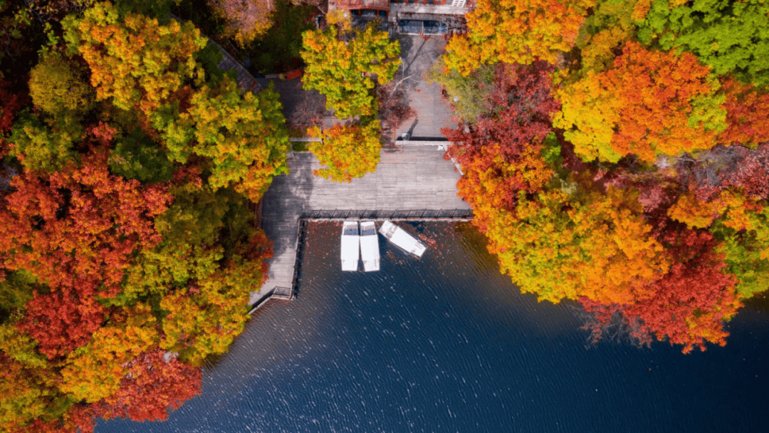 天花板发力了!快看巅峰的洛阳白云山秋景!