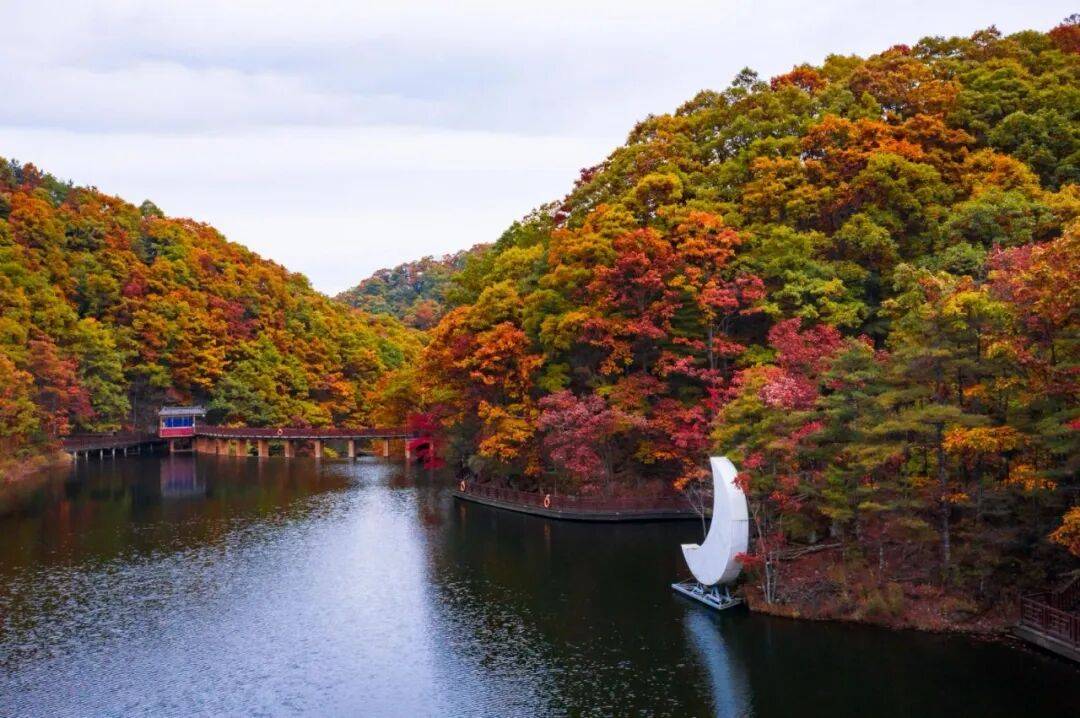 天花板发力了!快看巅峰的洛阳白云山秋景!