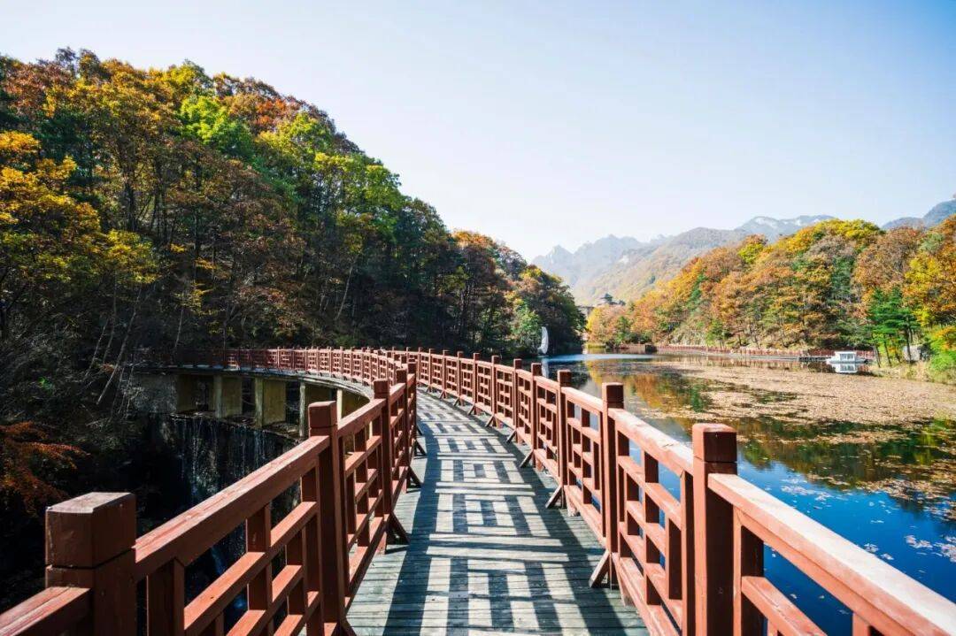 天花板发力了!快看巅峰的洛阳白云山秋景!