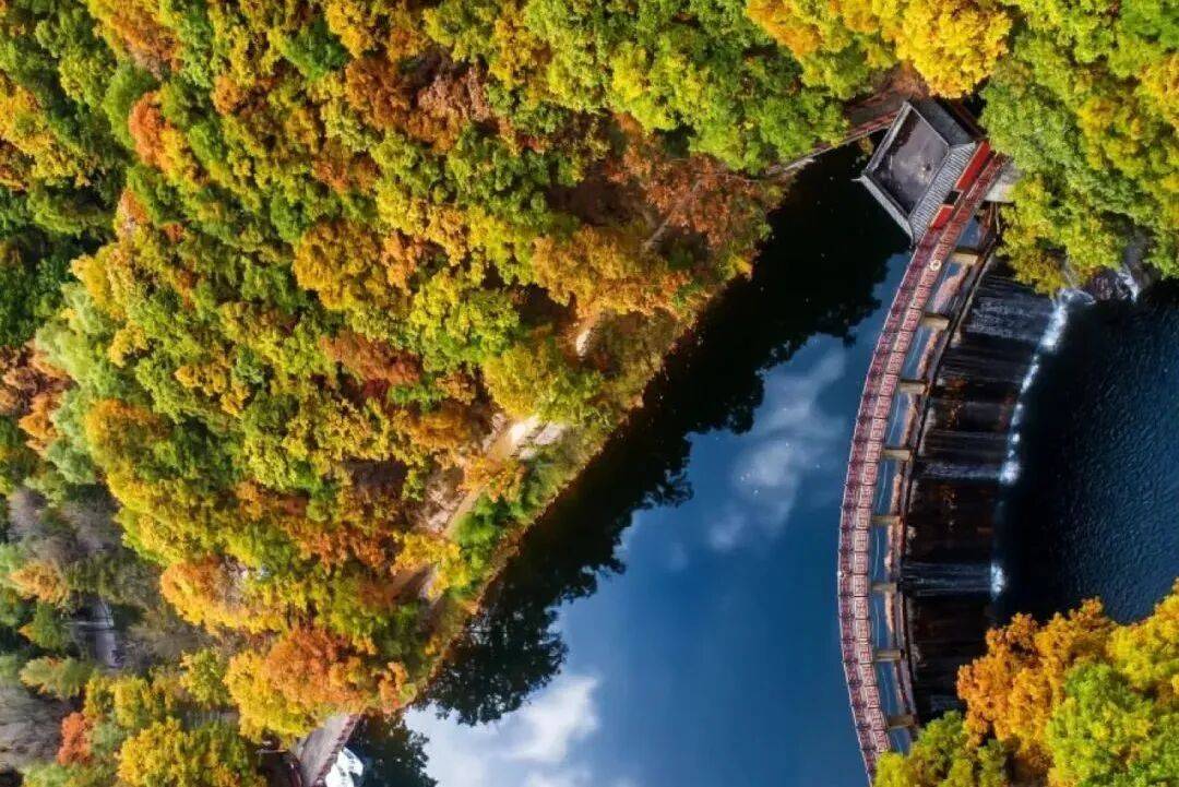 天花板发力了!快看巅峰的洛阳白云山秋景!