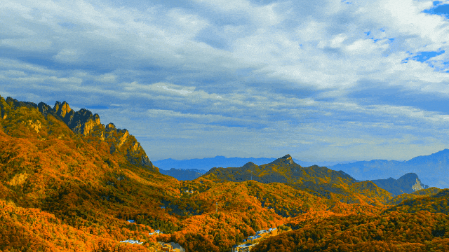 天花板发力了!快看巅峰的洛阳白云山秋景!