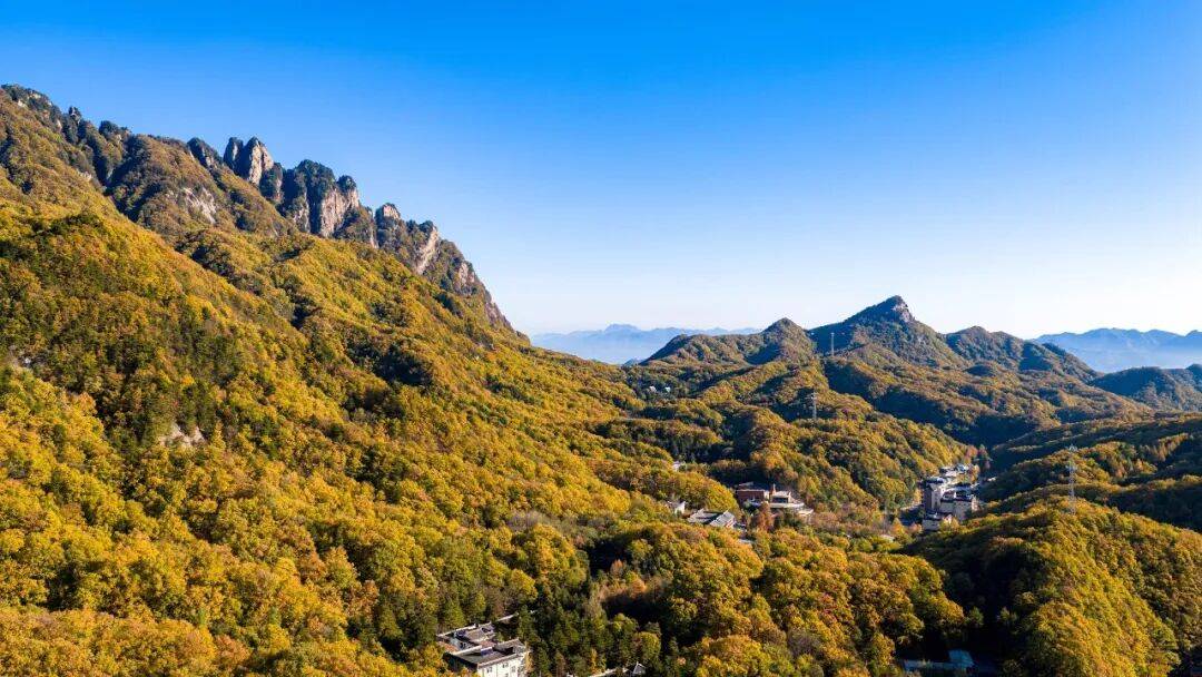 天花板发力了!快看巅峰的洛阳白云山秋景!