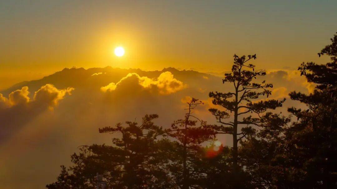 天花板发力了!快看巅峰的洛阳白云山秋景!